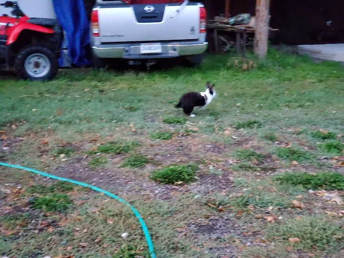 Wind Willows RV Picture 3