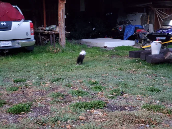 Wind Willows RV Picture 4