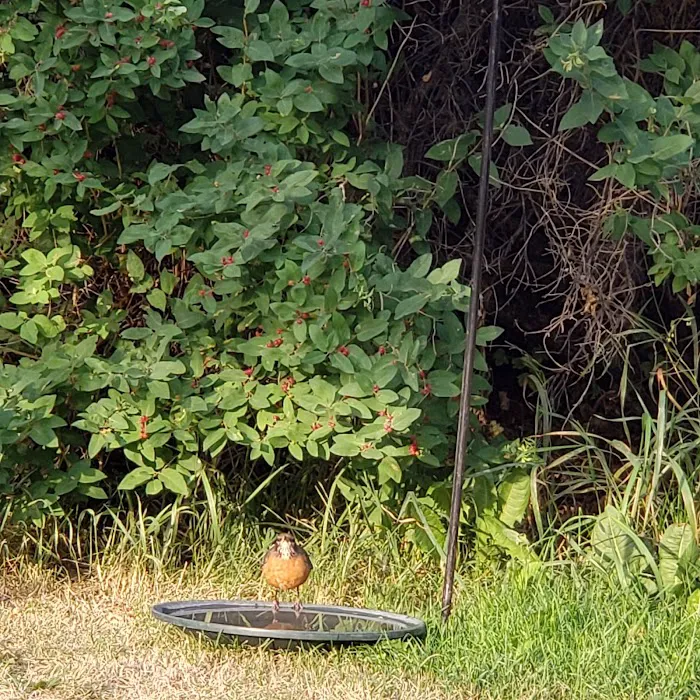 Wind Willows RV Picture 7