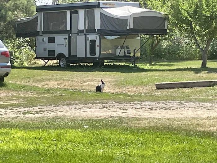 Wind Willows RV Picture 5