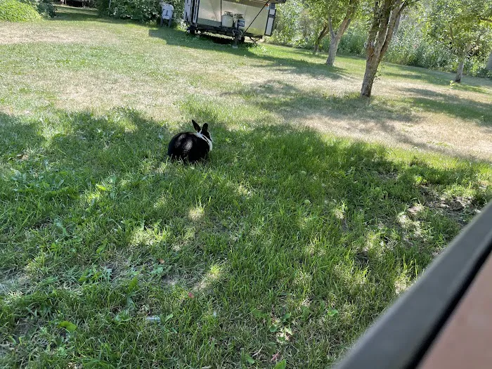 Wind Willows RV Picture 10