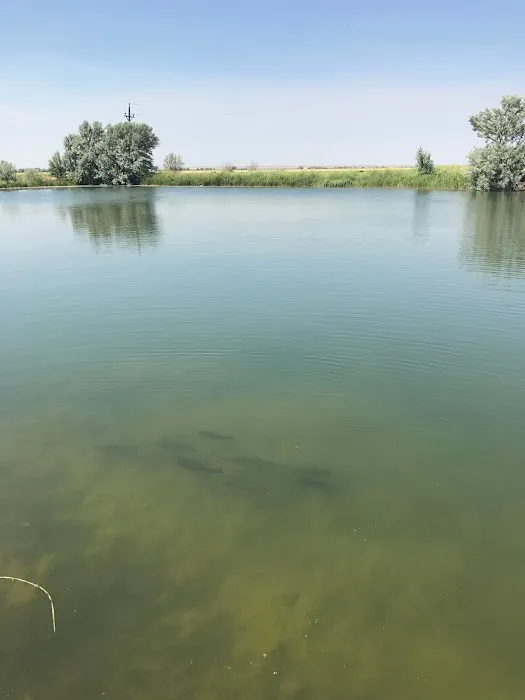 The Lodge at Western Wings, RV Park Picture 8