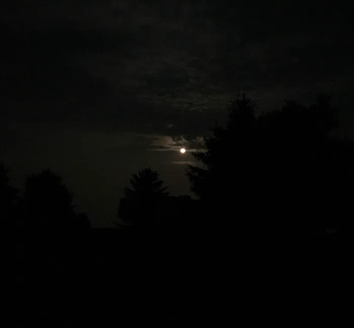 The Lodge at Western Wings, RV Park Picture 3