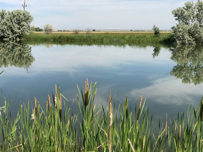 The Lodge at Western Wings, RV Park Picture 9