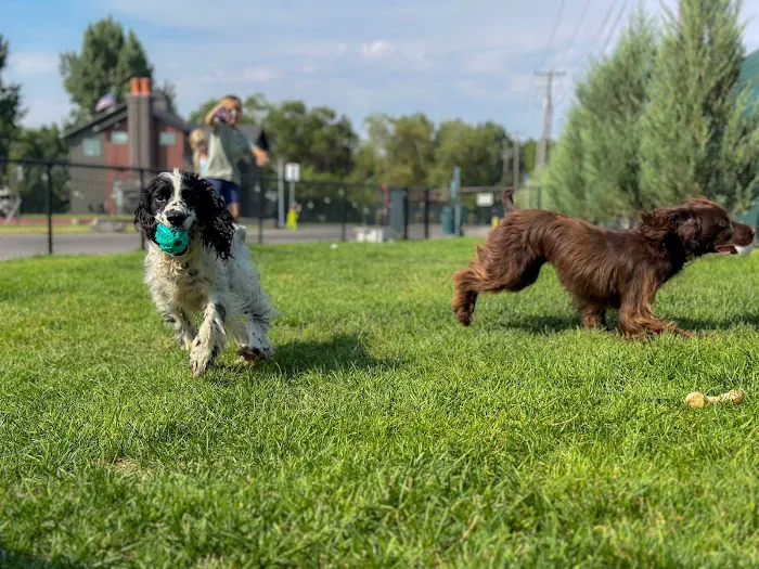 Idaho Falls Luxury RV Park Picture 7
