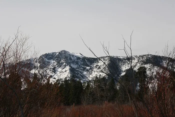 Chris Haven Mobile Home & RV Picture 4