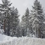 Chris Haven Mobile Home & RV