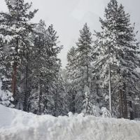 Chris Haven Mobile Home & RV ico