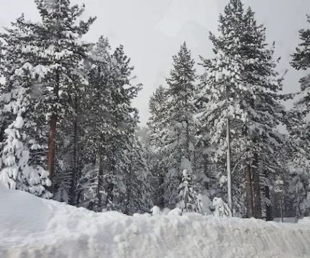 Chris Haven Mobile Home & RV