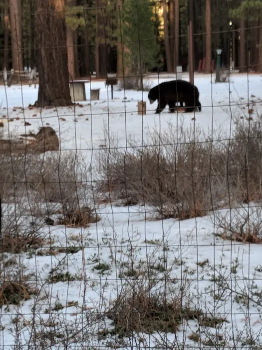 Chris Haven Mobile Home & RV Picture 9