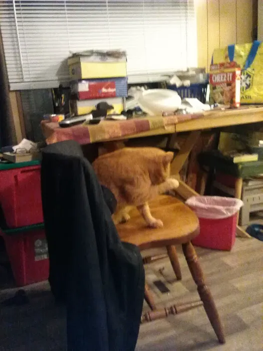 Skylark Mobile Home Park Picture 2