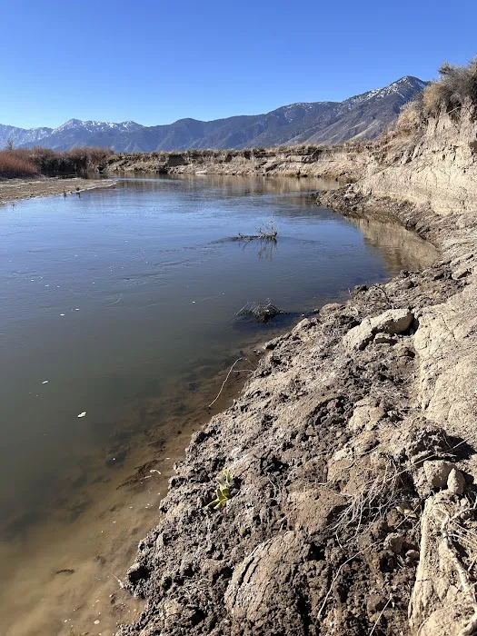 Silver City RV Resort Picture 5