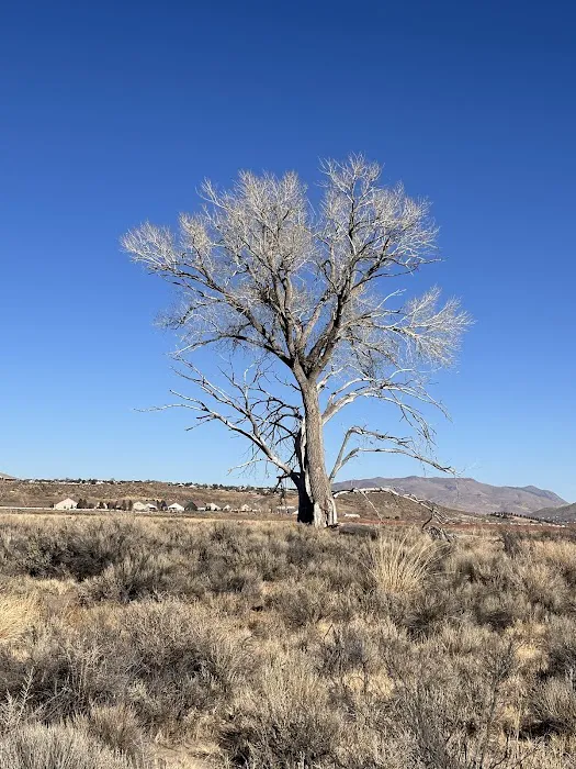 Silver City RV Resort Picture 2