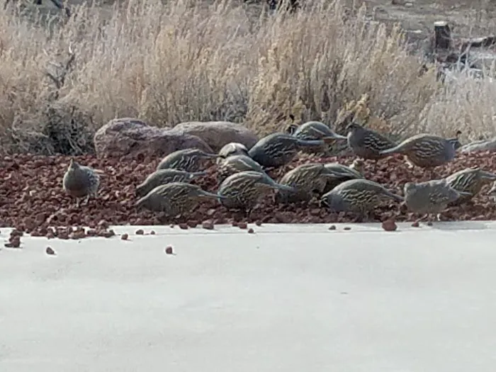 Riverview Mobile Home Park Picture 6