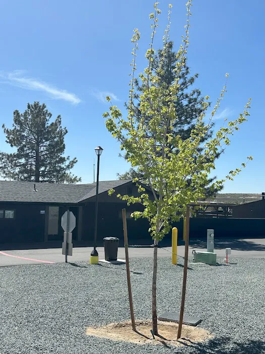 Carson RV Resort Picture 5