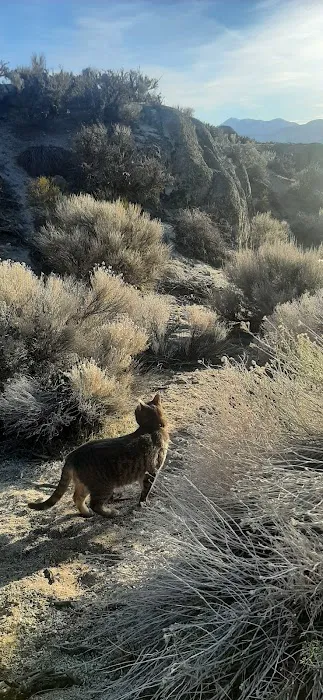 Clear Creek Mobile Home Park Picture 5