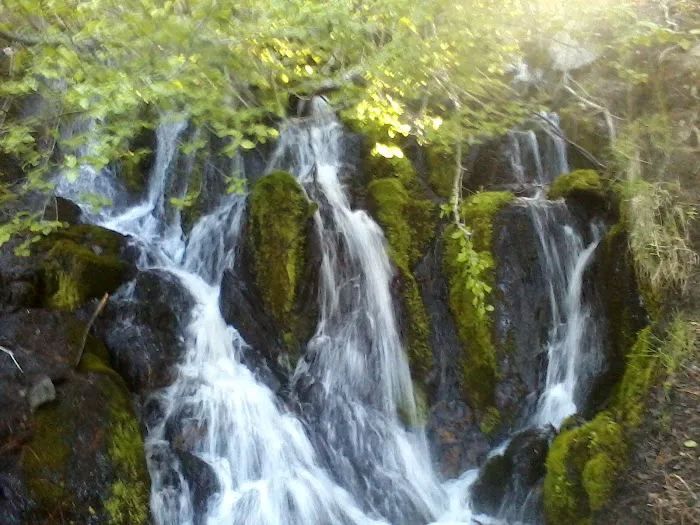 Clear Creek Mobile Home Park Picture 1