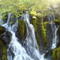 Clear Creek Mobile Home Park ico