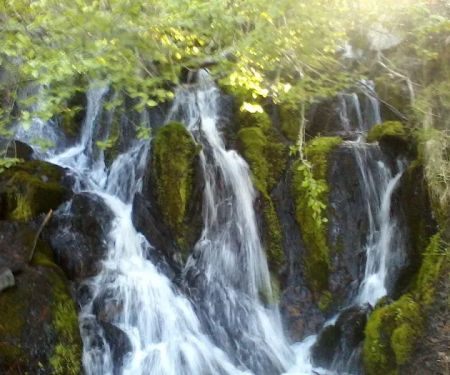 Clear Creek Mobile Home Park