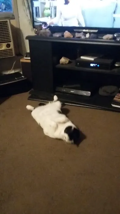 Clear Creek Mobile Home Park Picture 8