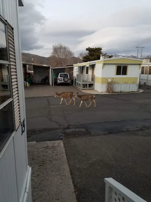 Hillside Village Picture 2