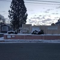 Hillside Village ico