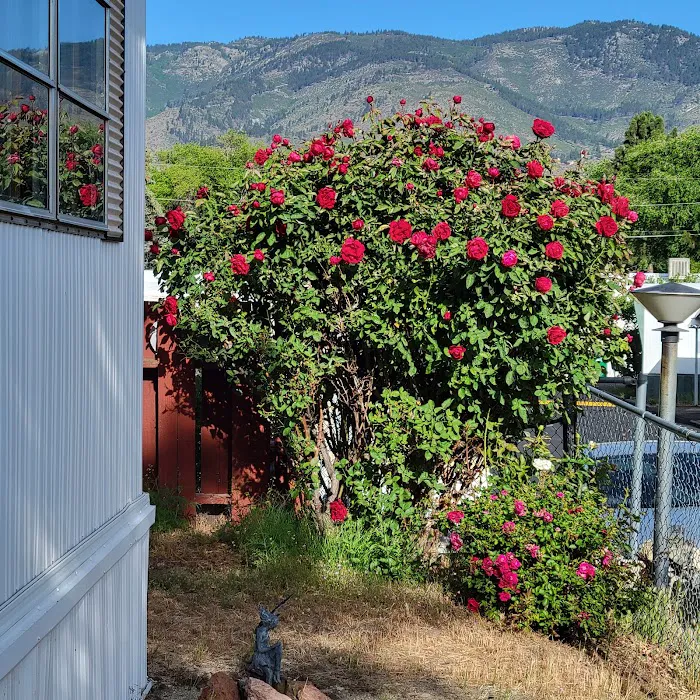 Hillside Village Picture 5