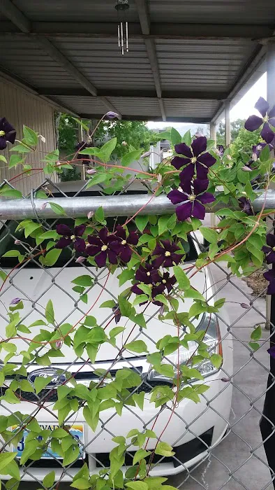 Silver State Mobile Home Park Picture 7