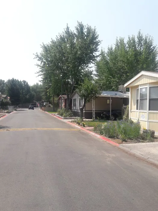 Lone Mountain Mobile Home Picture 9