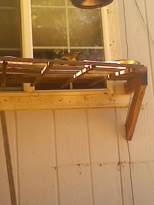 Snowflake Mobile Home Park Picture 6