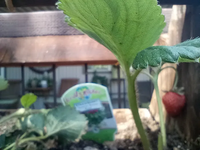 Empire Villa Mobile Home Park Picture 2