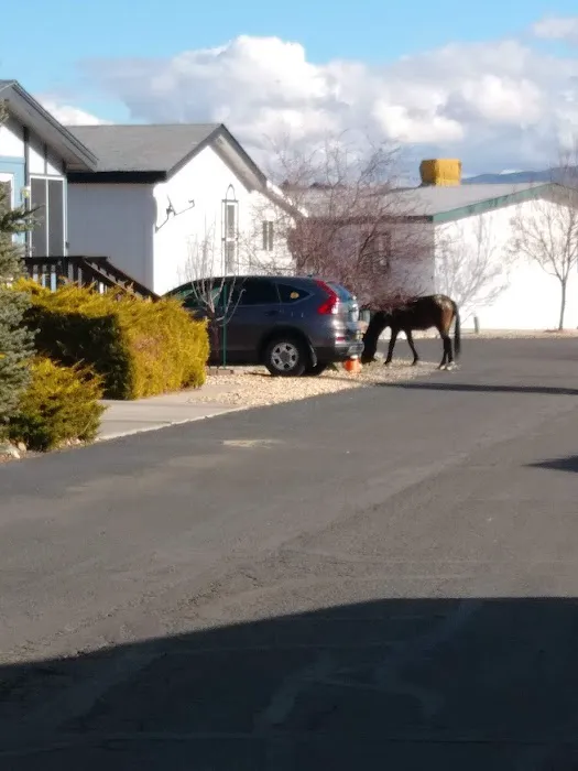 Carson Highlands Mobile Home Picture 5