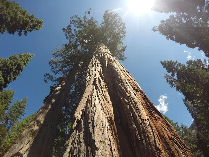 Carson Highlands Mobile Home Picture 8