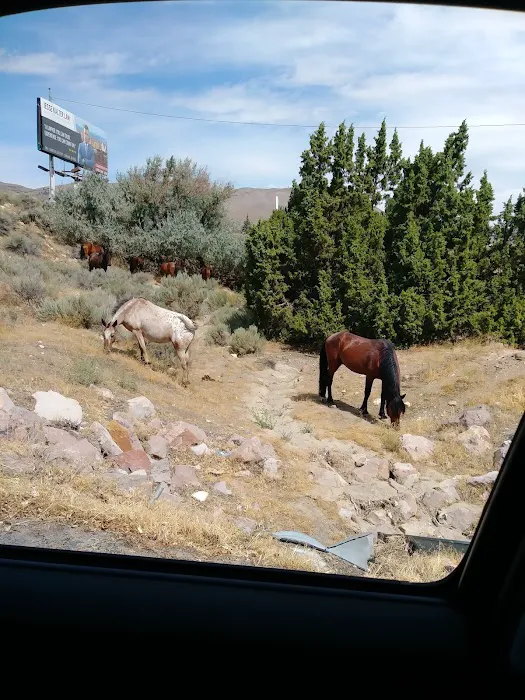 Carson Highlands Mobile Home Picture 4