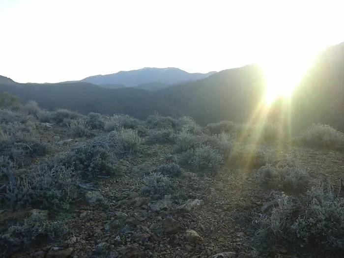 Carson Highlands Mobile Home Picture 10