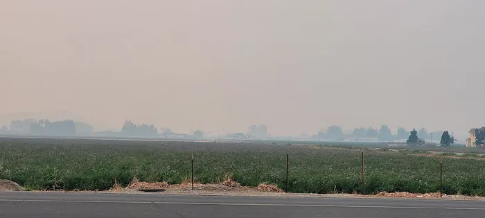 Pioneer Mobile Home Ranch & RV Picture 8