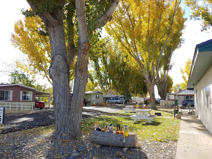 Pioneer Mobile Home Ranch & RV Picture 7