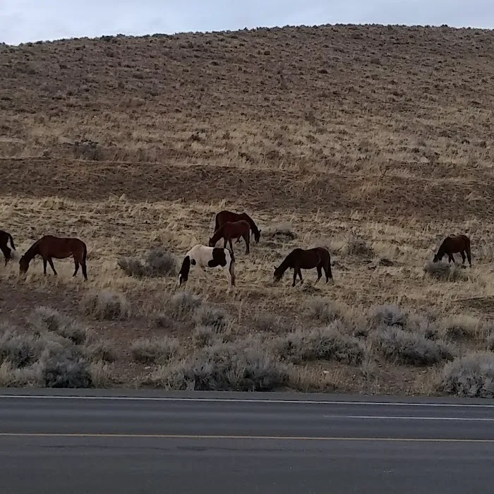 Dayton Mobile Home Park Picture 8