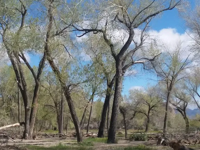 Dayton Mobile Home Park Picture 7