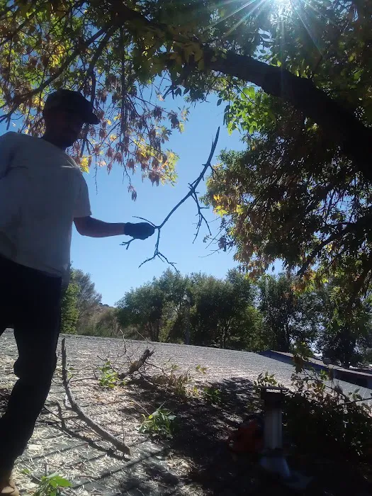 Dayton Mobile Home Park Picture 10