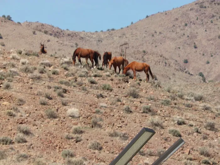 Dayton RV Park Picture 7