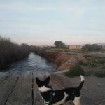 Greenfield Mobile Home & RV