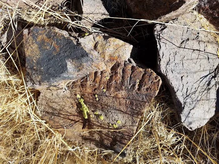 Brookside Mobile Home Park Picture 7