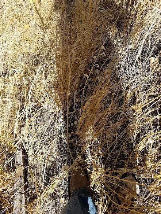 Brookside Mobile Home Park Picture 8