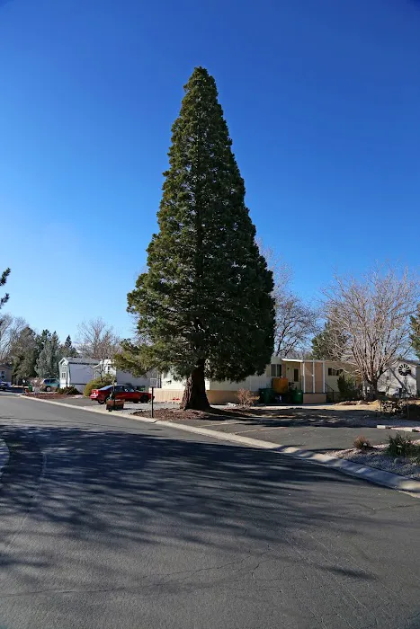 Lucky Lane Mobile Home Park Picture 10