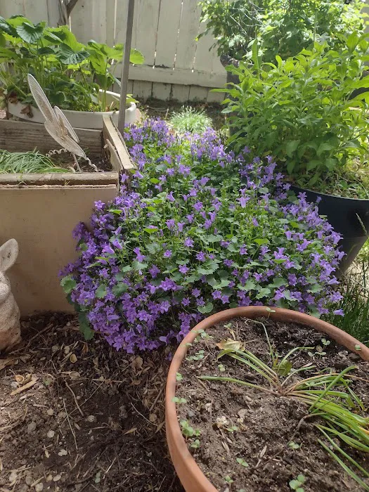 Shade Tree Village Mobile Home Park Picture 5