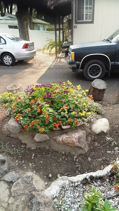 Shade Tree Village Mobile Home Park Picture 6