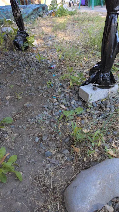 Green Acres Manufactured Home Community Picture 1