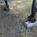 Green Acres Manufactured Home Community