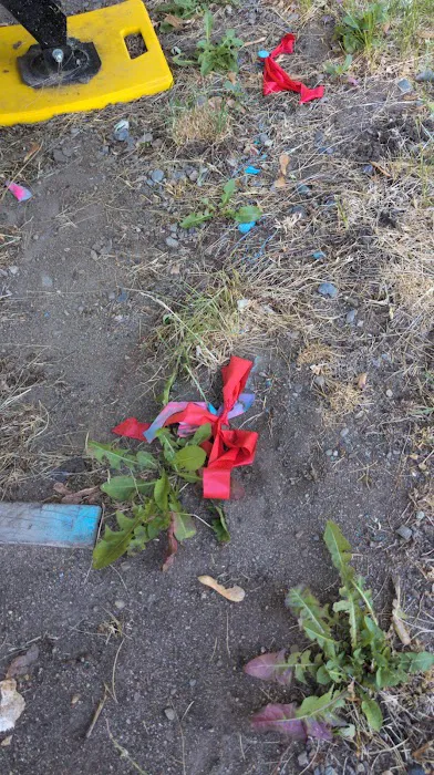 Green Acres Manufactured Home Community Picture 10